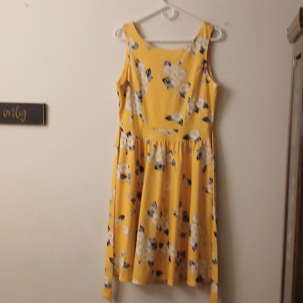 Ladies Dress